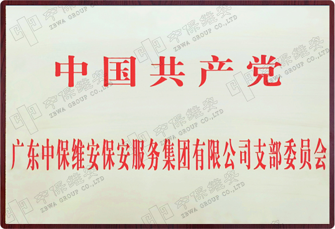 中国共产党mg娱乐电子游戏支部委员会